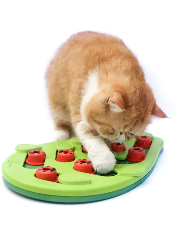 Regentag Puzzle & Spiel - Interaktives Katzen-Leckerli-Puzzle Katzenspielzeug mit Futterausgabe Katzen-Kratzbrett