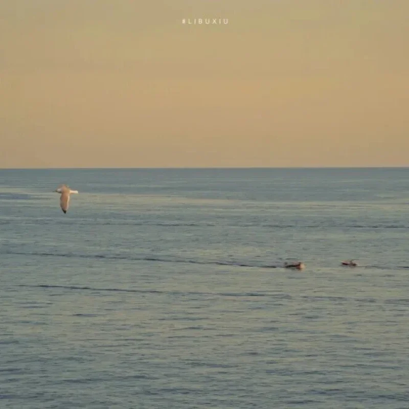 100 USD Compensa il collegamento alla differenza di prezzo