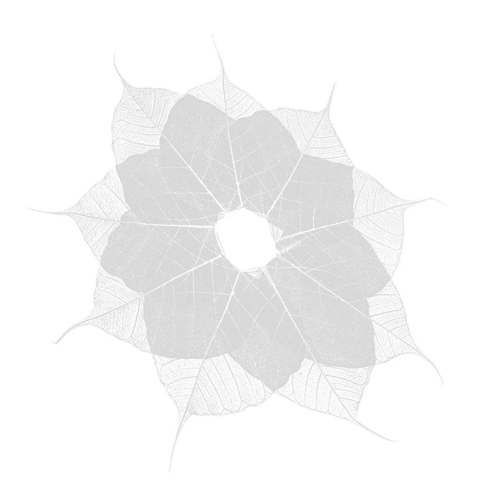 

10pcs Vein Bookmarks Diy Craft Materials For Scrapbooking Greeting Cards Wedding Decor Dried Specimen