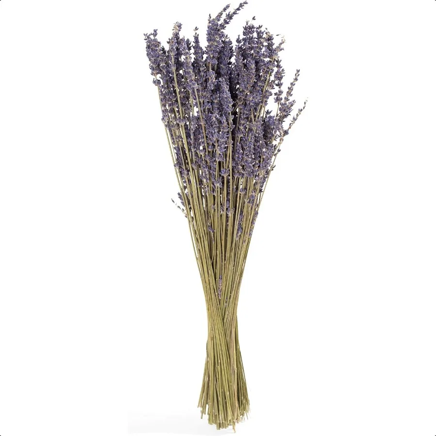 

Dried French Lavender Bundle