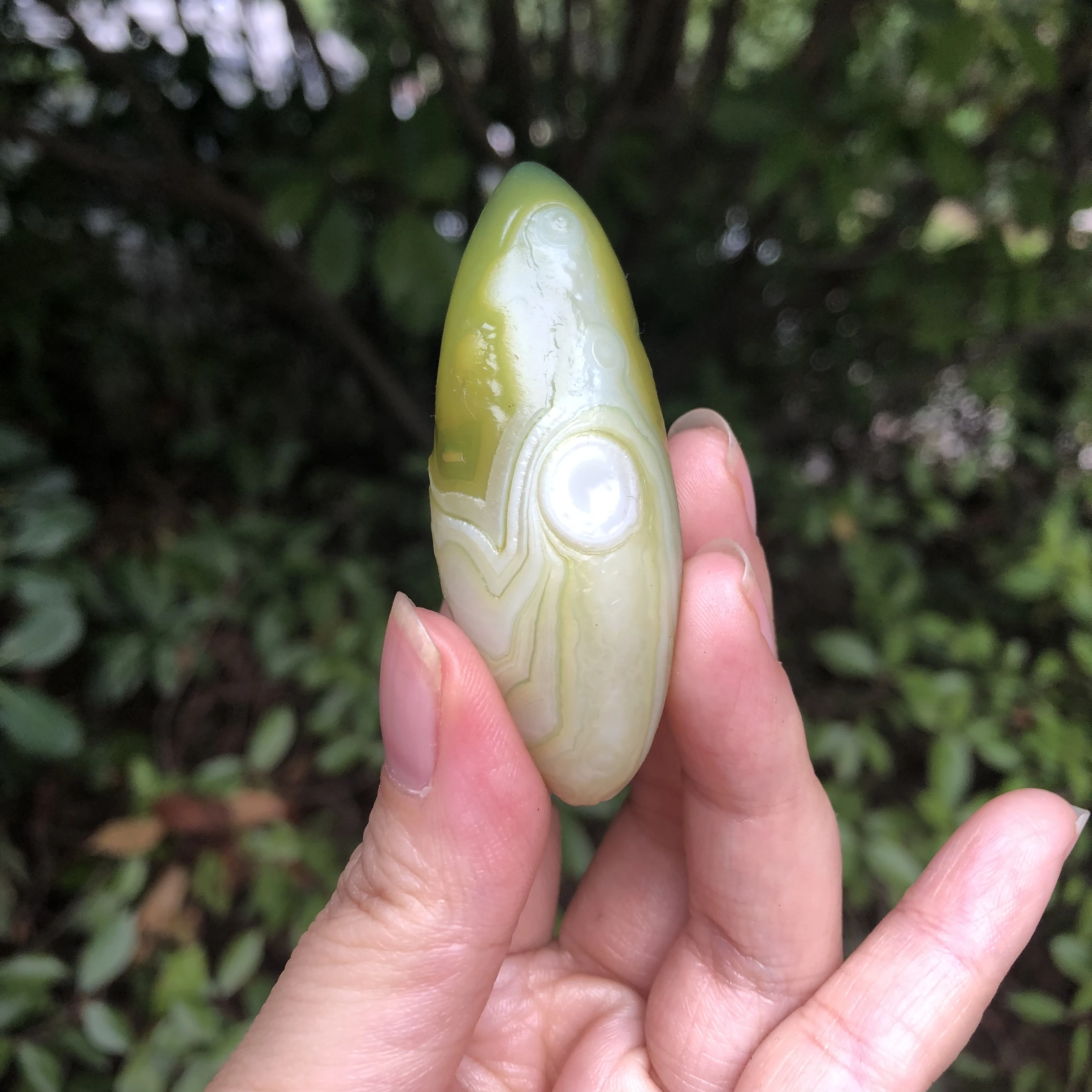 

3​8G/5.97*2.29*2.22CM A Beautiful Natural Outer Mongolian Gobi Eye Green Flower Eye With Clear Grain Is About To Disappear Gem