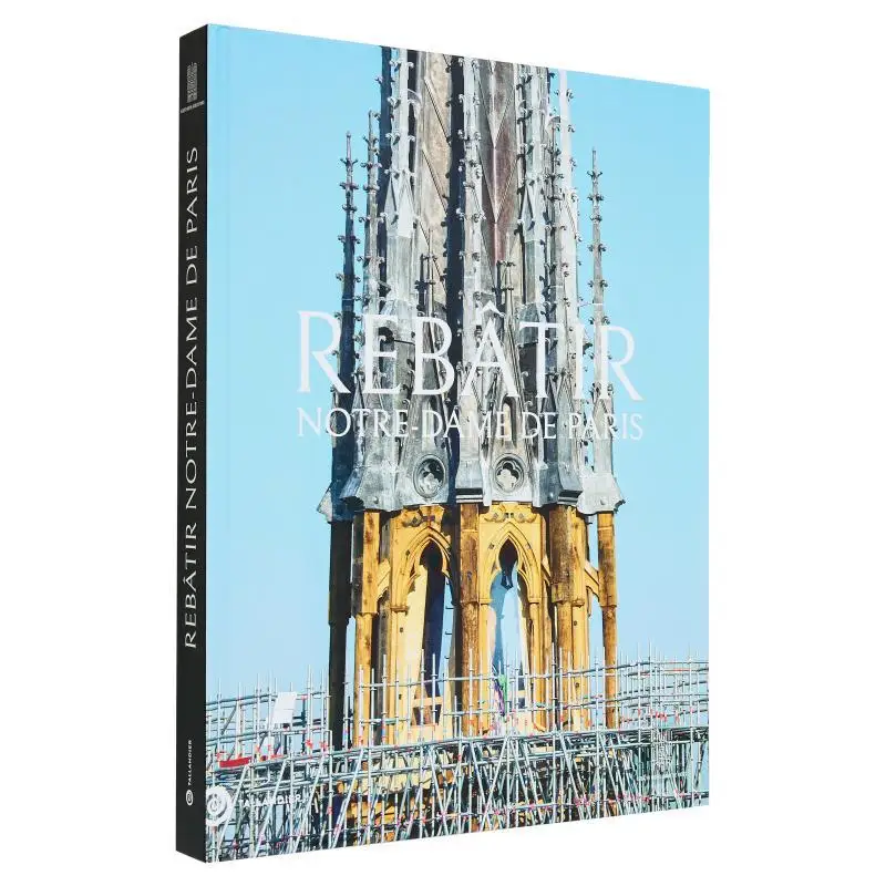 

Rebuilding NotreDame DE Paris The Official Book Of Restoration Mathieu LOURS Tallandier 9791021061972 Book