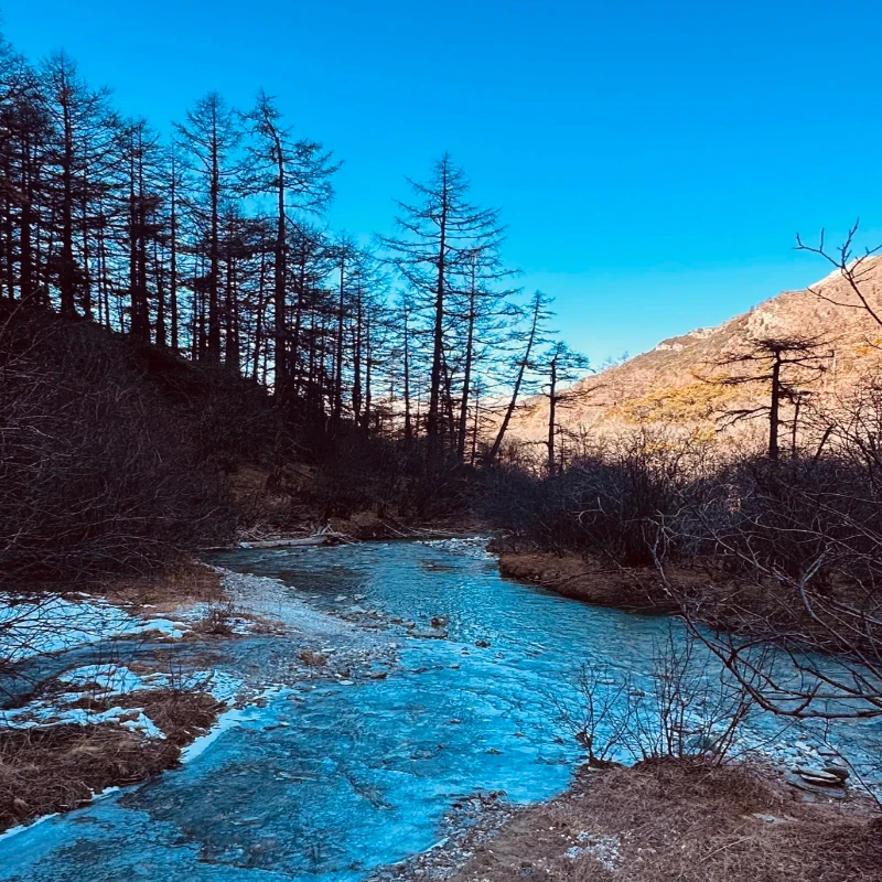 

GEPRC GEP-CL20 Frame Parts - Propeller Base for CineLog20 HD O3 FPV Freestyle RC Racing Models