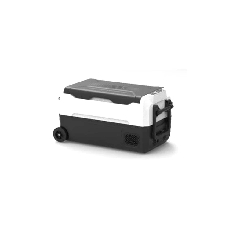 Mineral Nice Quality Rechargeable 12/24V Portable DC AC Compressor Refrigerator Camping Freezer Travel Cooler Car Fridge