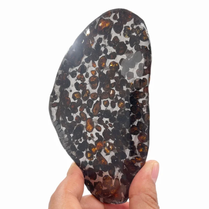 Sericho Pallasite Meteorite Slice Kenya Polished Olivine Meteorite Irregular Piece Natural Space Collection Specimen QA891