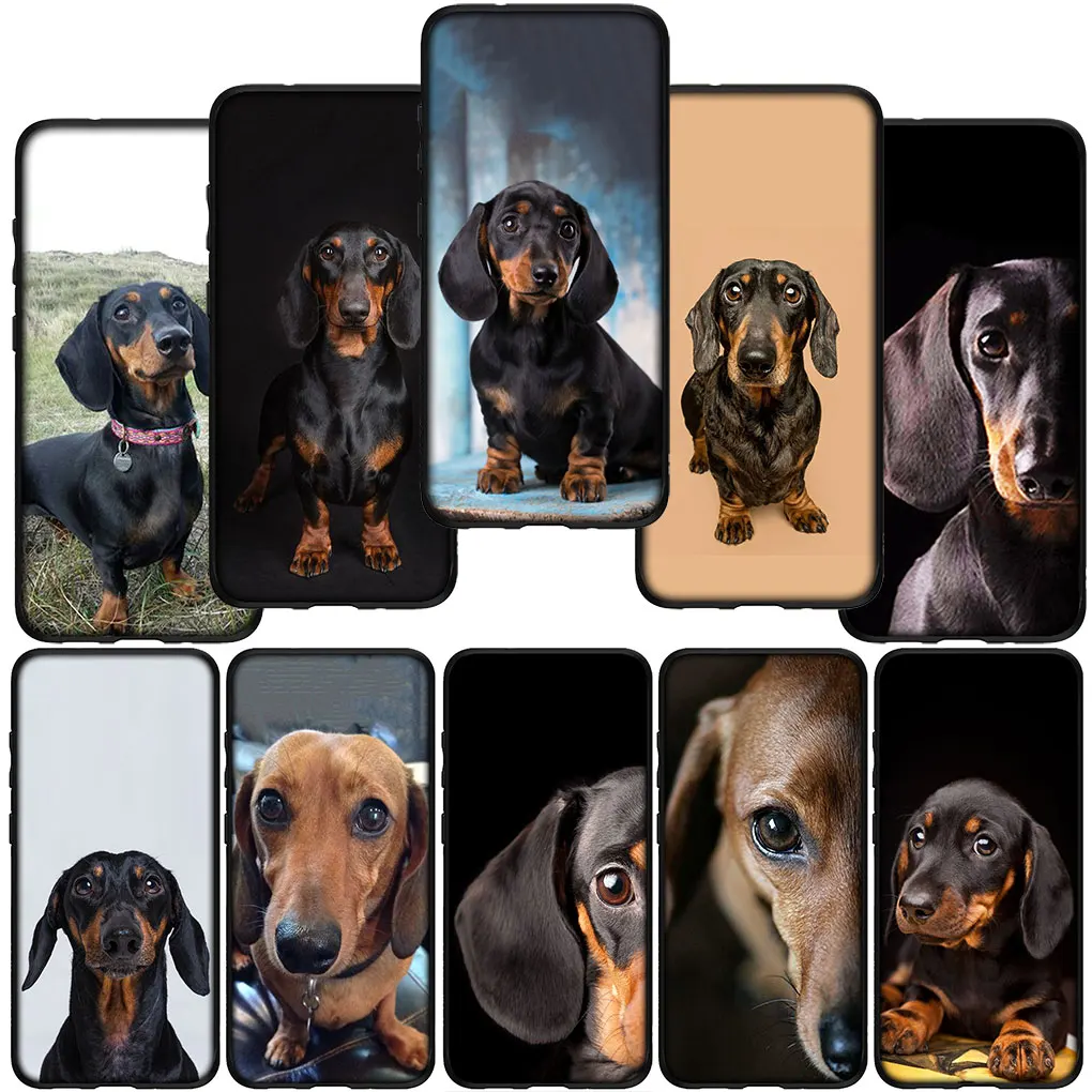 Dachshund Dog Cover Phone Casing for Samsung Galaxy S21 S20 Fe S23 S22 Ultra S8 Plus A71 A12 A13 A21S S7 Soft Case