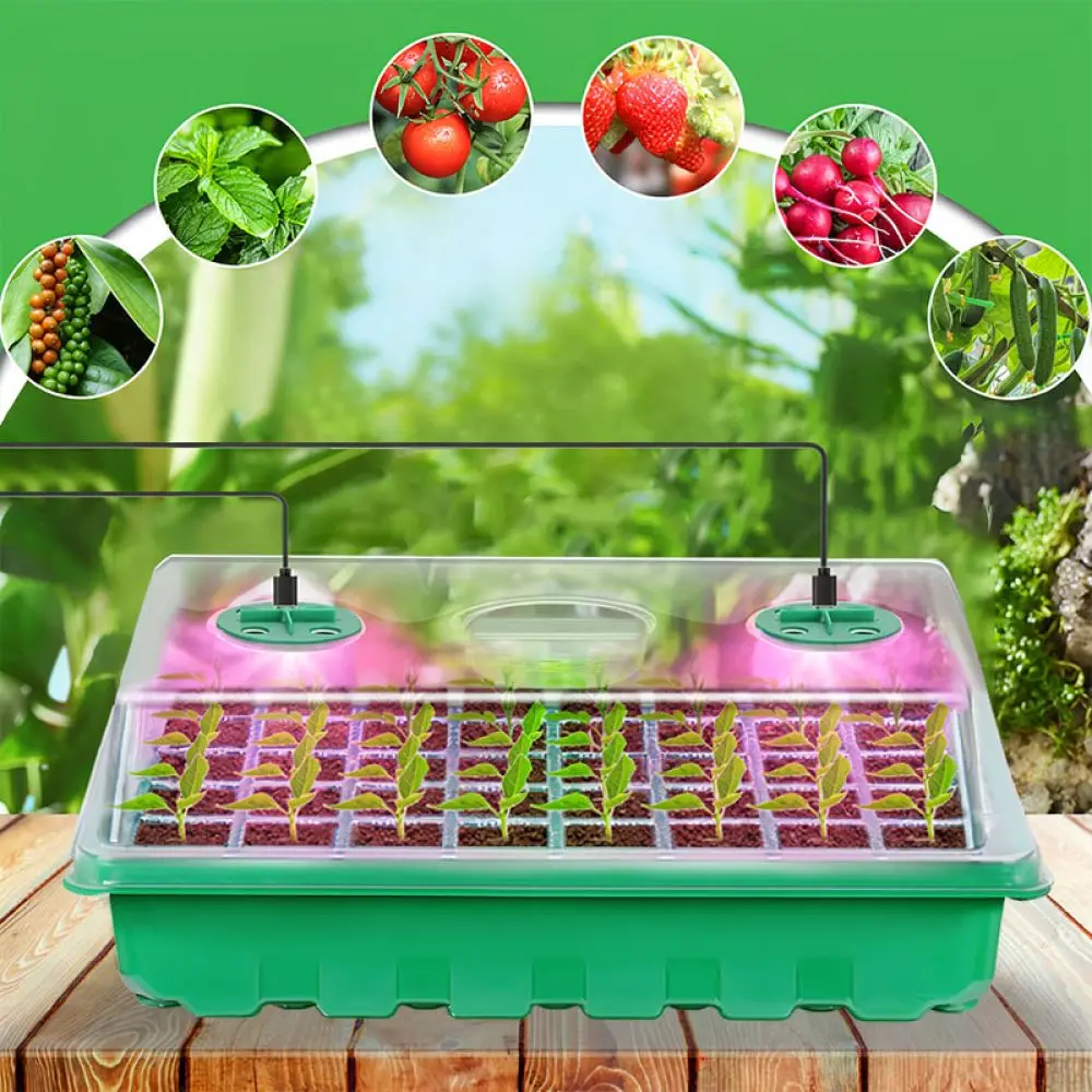 Starter Tray With Adjustable LED Light Moisture Dome Vent Holes Durable Plastic Propagation Box Garden Plant Tool