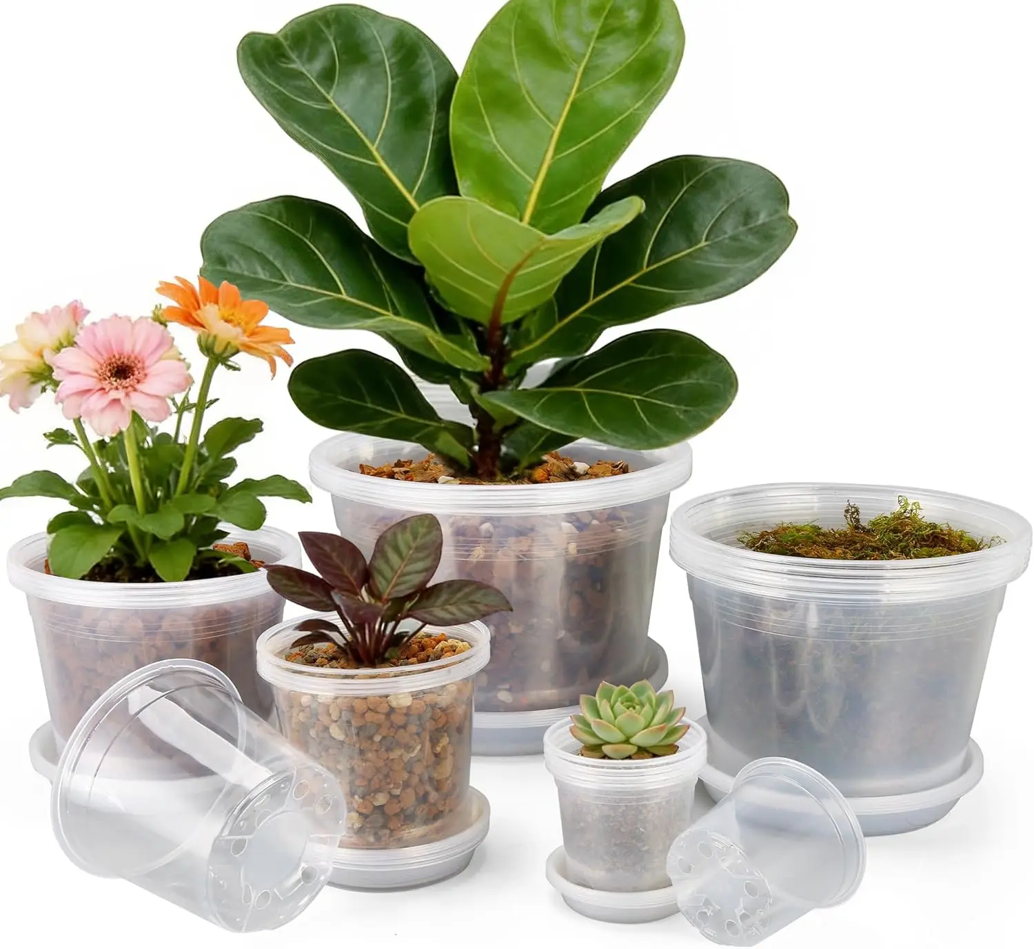 

12/10/8/6/4 Inch Clear Nursery Pots with Drainage and Saucers, 20 Pack Large Clear Plastic Nursery Pots for Plants, Seed