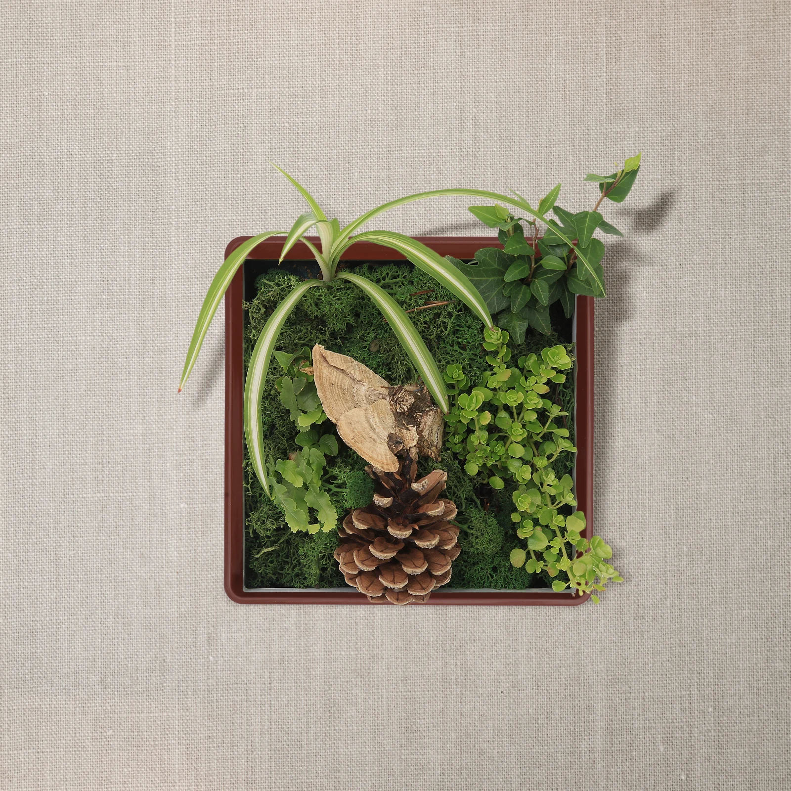 

Plastic Planter Tray Balcony Bonsai Trays Ground Potted Simple Flower Bottom Base Floor Square