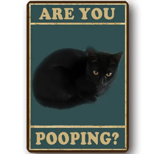 

Funny Metal Tin Sign Are You Pooping Vintage Black Cat Bathroom Wall Art Cat