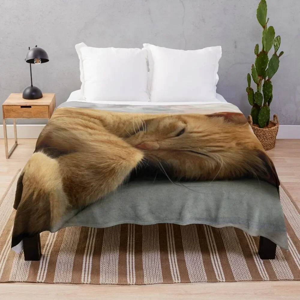 Ginger Cat Sleeping Throw Blanket Hairys Travel Thins Blankets