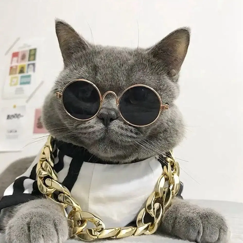 

No Discoloration Plastic Puppy Small Dog Not Fade for French Bulldog Dog Necklace Cat Collar Pet Chain Dog Gold Chain