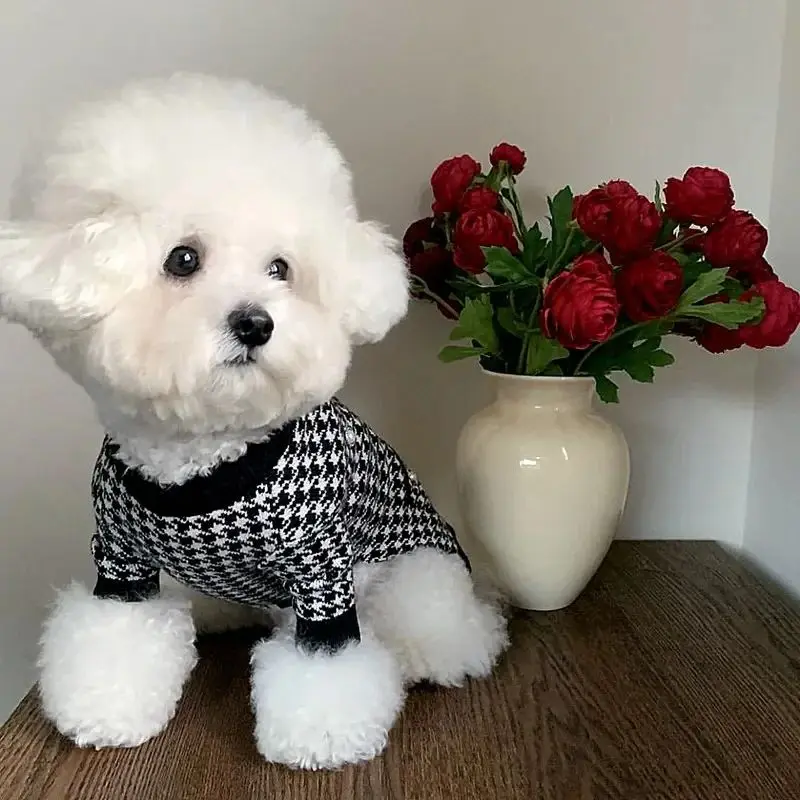 

2023 Classic Black Dog Clothes Pet Knitted Sweater Winter Dog Warm Clothes Malzis Button Up Teddy Flower Clothes Pet Supplies XS