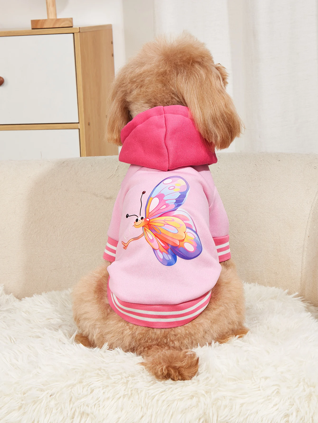 Pet clothes dog cat jacket warm and comfortable clothes with butterfly print pink new style