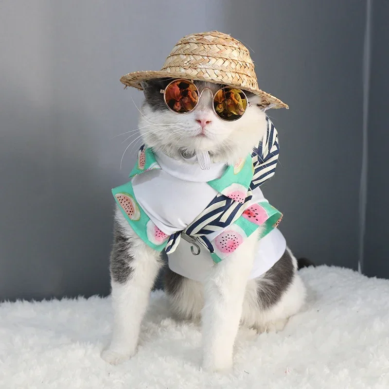 Pet Photograph Sunglasses Dog Eye-wear Glasses Little Cat Glasses INS Photos Props Dog Accessories Supplies For Small Dogs