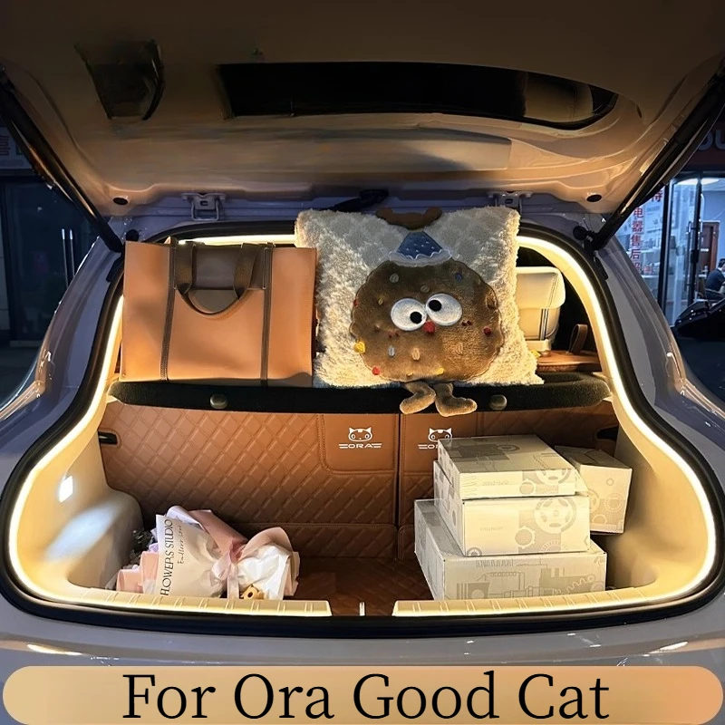 For Ora Good Cat Sp…