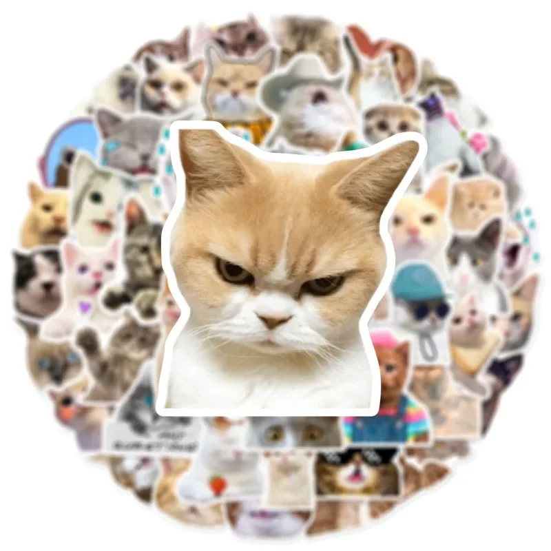

50PCS New Cute Cat Memes Motorbike Helmet Stickers Lovely Cats Waterproof Rear Trunk Sticker Motorcycle Body Scratch Cover Decal