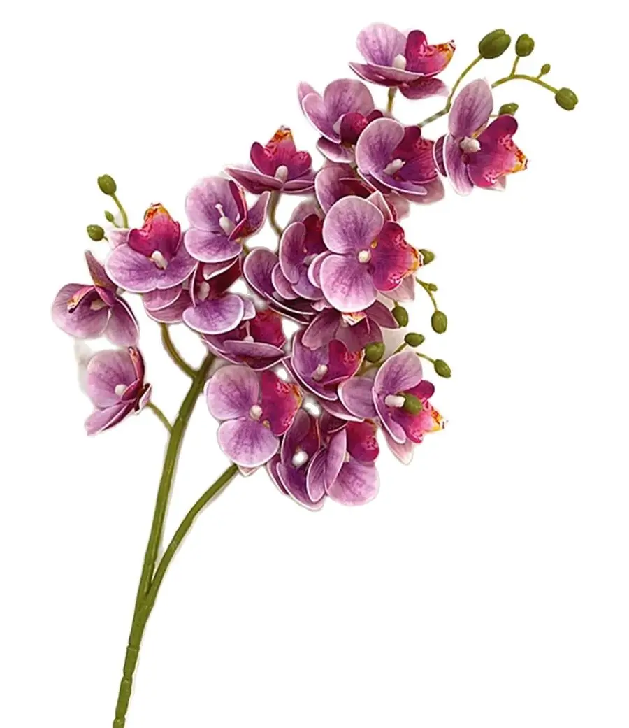 Wholesale 10/50/100/200/500 pcs MulticolorSLatex Butterfly Orchid Flowers 21 Heads Life Like Artificial Mini Phalaenopsis Orchid