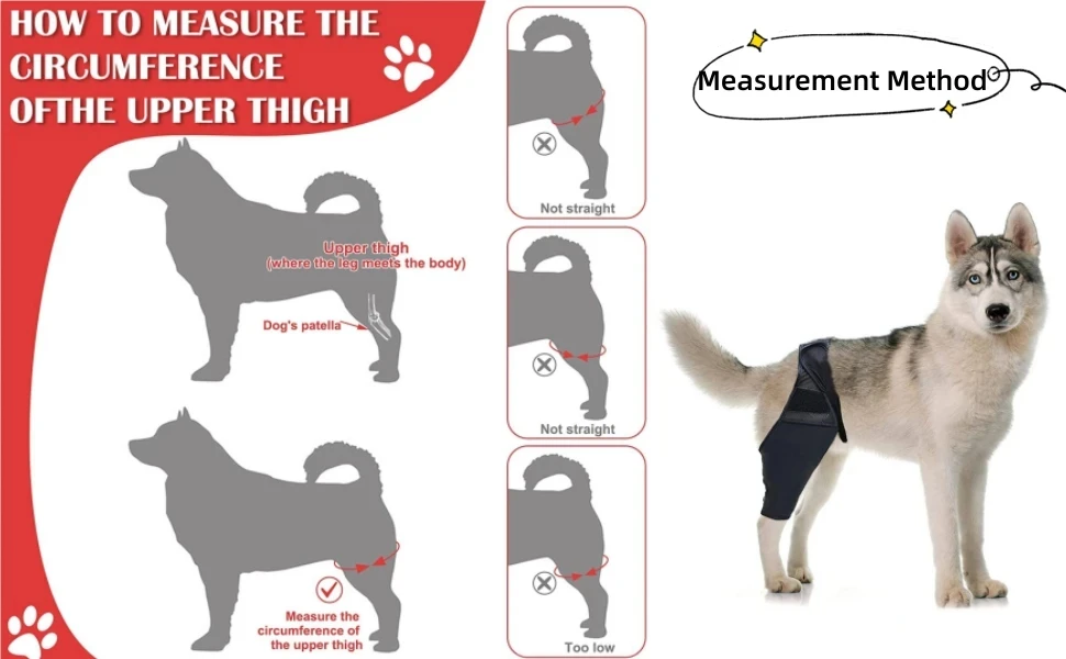 Verstellbare Hinterbeinbandage für Hunde, Kniegelenkstütze für große Hunde, Hinterbeinschutz, Erholungshülle bei Verletzungen und Arthritis – Detail 2