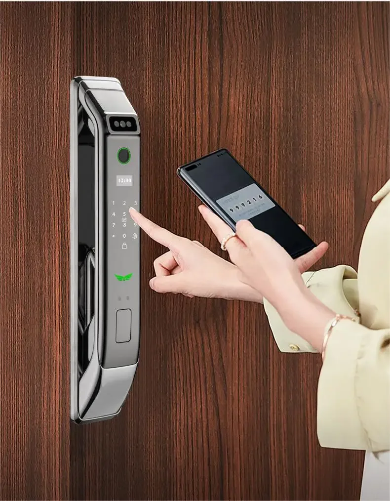 Processo galvanico serratura automatica App Wifi riconoscimento facciale Smart Lock