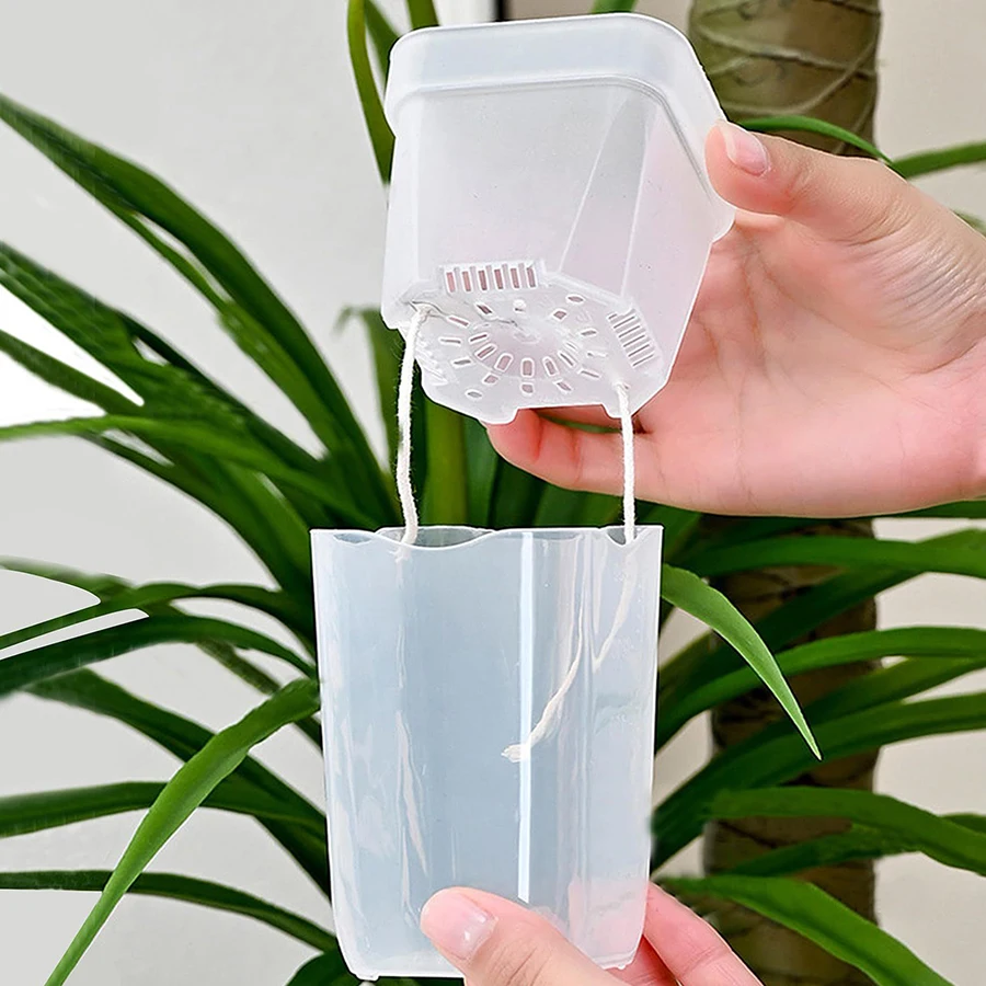 12/24PCS Self Watering Succule - Gardening Tools Kit For Home Garden review and price