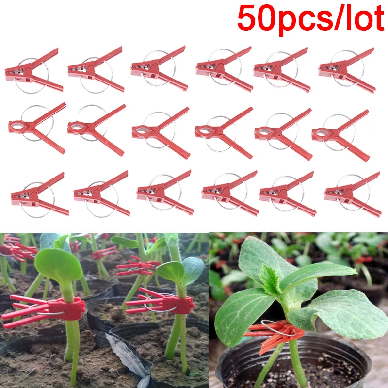 

50/100pcs Durable Plastic Grafting Clamps Garden Plant Support Clamps Round Red Clamps For Gardening Vegetables Flowers Shrubs