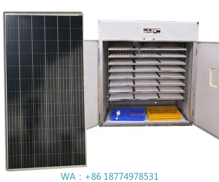 

Инкубатор для яиц, инкубатор для курицы, машина для использования на ферме, простая установка на солнечной энергии, капуз, Oeuf Automatique