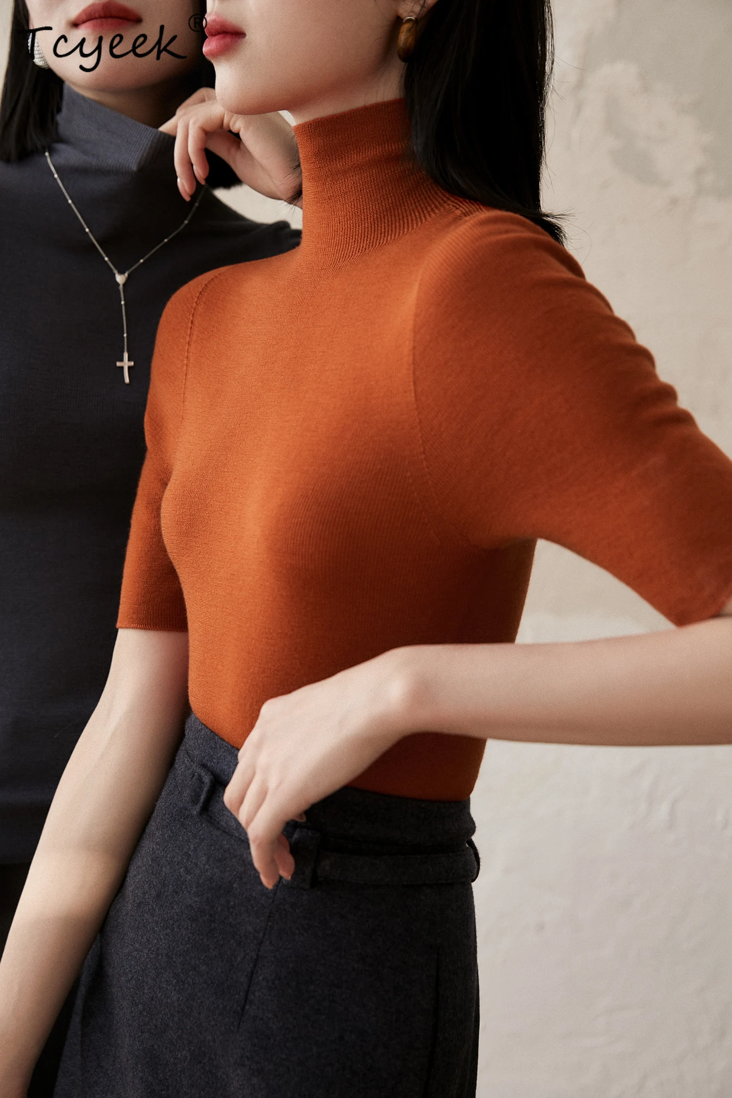 

Tcyeek, 100%Sheep Wool Elegant Knitwear, Women Long Sleeve Turtleneck, Seamless Commute Tops, Autumn Winter Sweater T48908QM