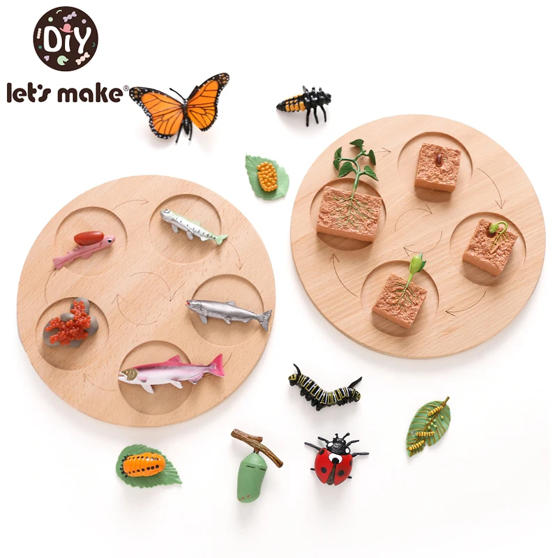 Let's Make Simulation Animals Growth Cycle Model Cock Locust Earthworm Cognitive Double Sideds Board Kids Puzzle Toys Baby Gifts