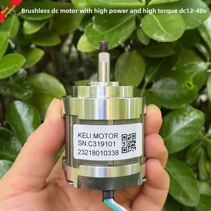 High Power DC Brushless Motor 12V24V36V48v50-500W High Torque Brushless Mechanical Power Direct Selling
