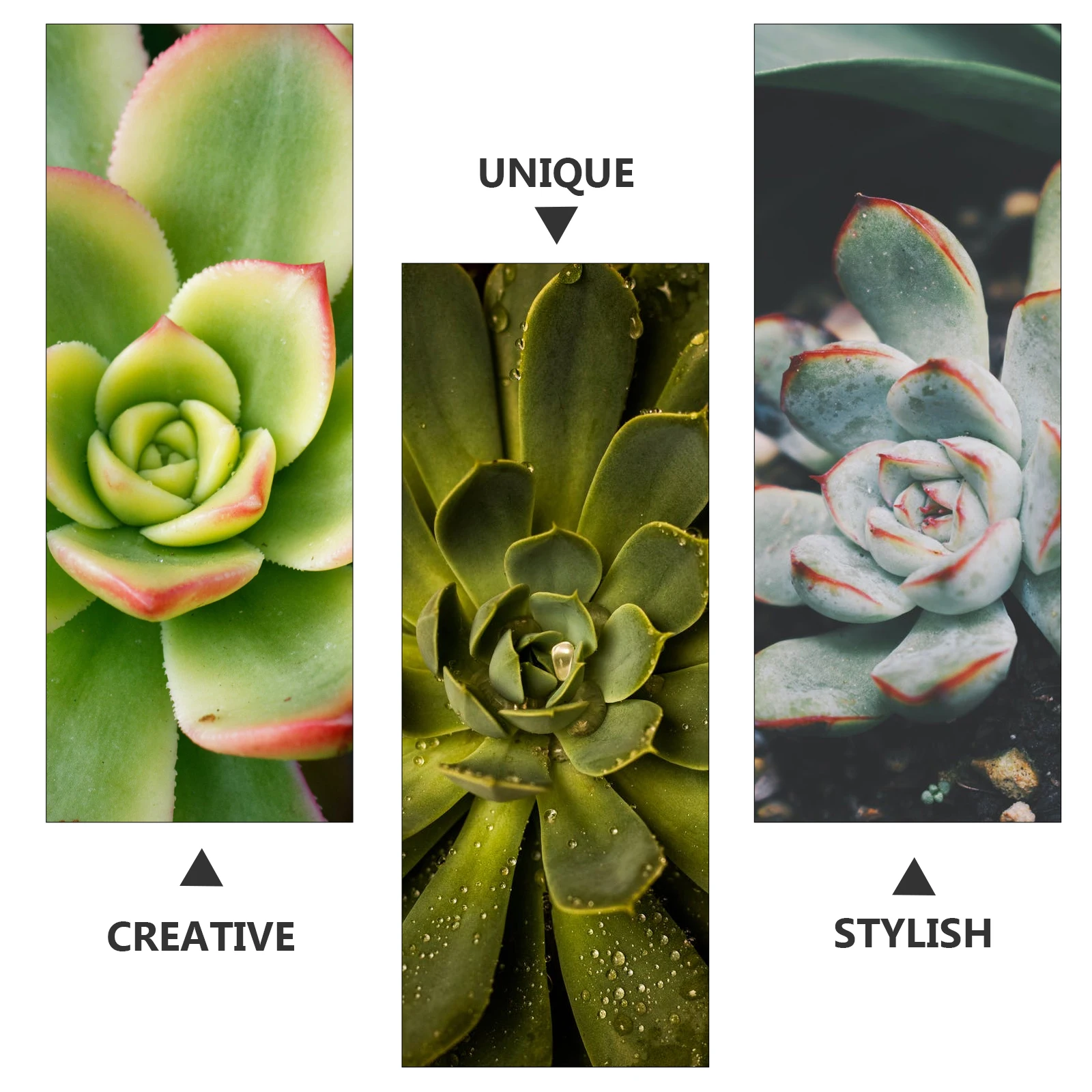 

1pc Resin Flower Cartoon Turtle Design Desktop Succulents Turtle Flowerpot For Home Container Durable Home Decoration Tabletop