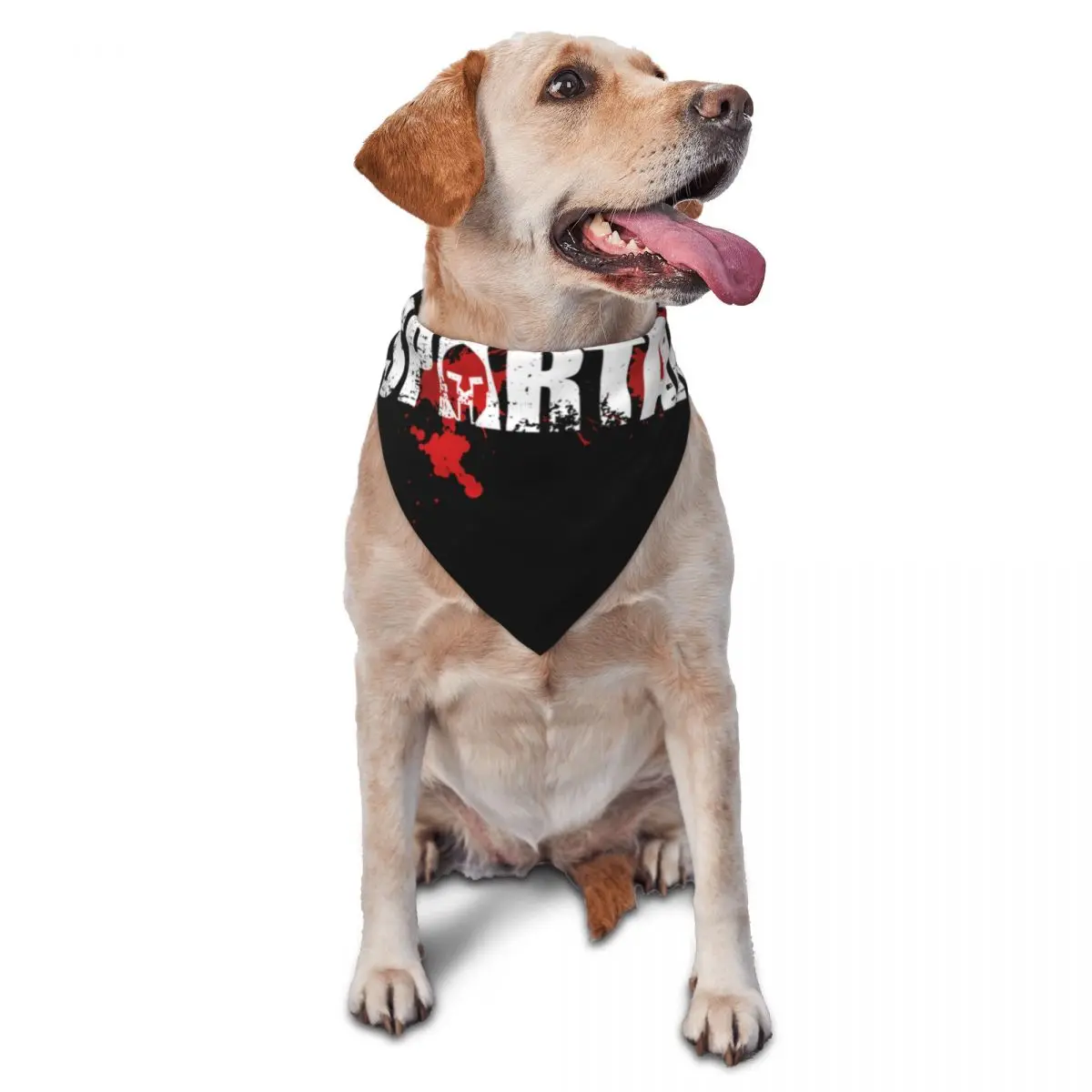 Bufanda grande con logotipo de carrera espartana para mascotas, Bandana fina para gatos y cachorros, babero triangular creativo, accesorios para mascotas
