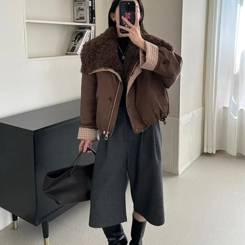 2026 New Korean-style Fashionable Lambskin Fur Coat Women Is Short Loose and Slimming Down Cotton Style To Overcome The Winter