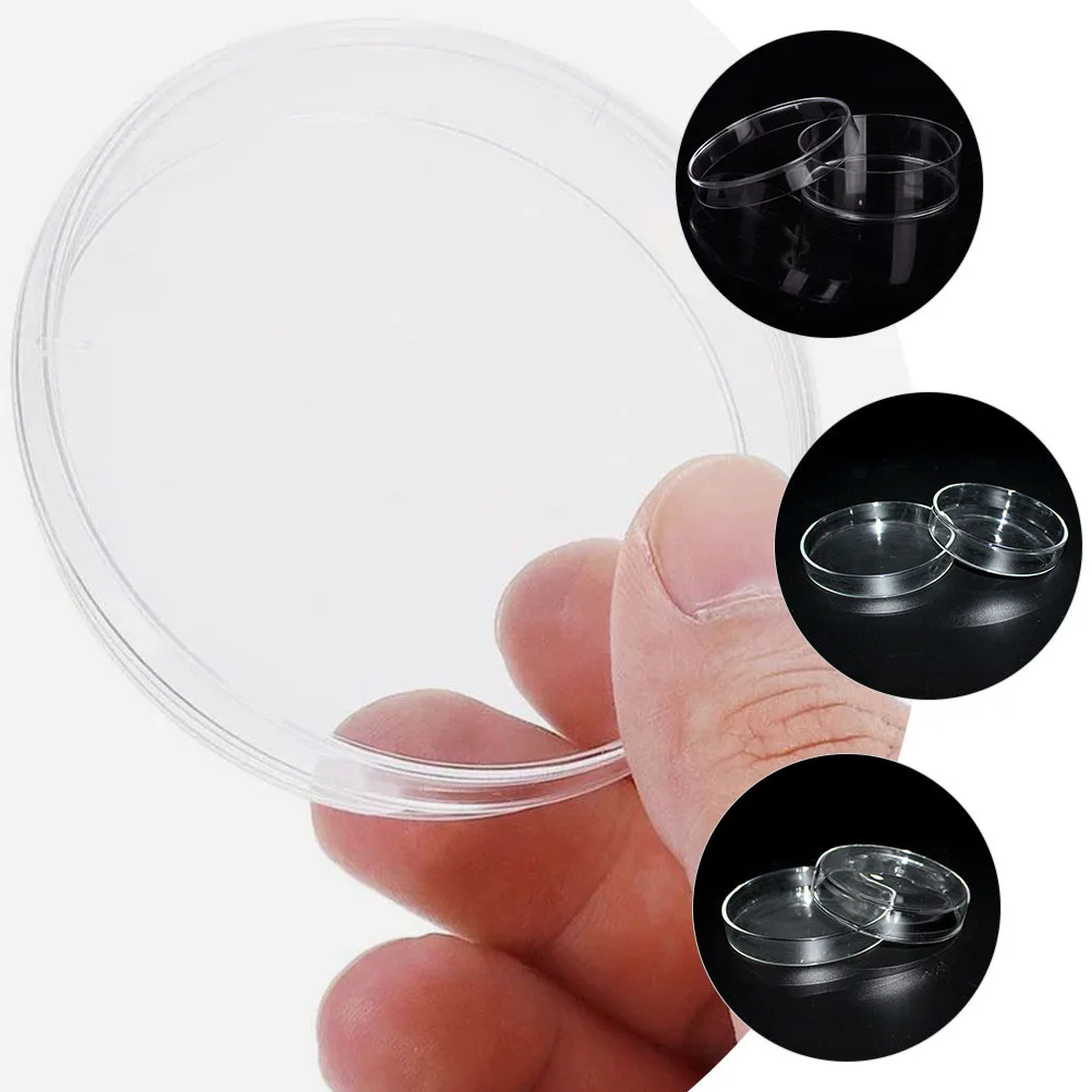

2Pcs Petri Dishes Transparent Glass School Experiment Clear Design Cell Culture Laboratory Teaching Aid Set Petri Dish