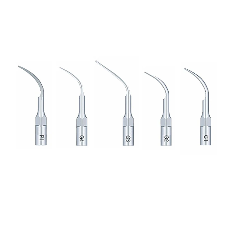 Woodpecker G1/G2/G3/G4/P1 Professional Dental Cleaning and Polishing Tips Set of 5 - High Precision Dental Supplies