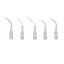 Woodpecker G1/G2/G3/G4/P1 Professional Dental Cleaning and Polishing Tips Set of 5 - High Precision Dental Supplies