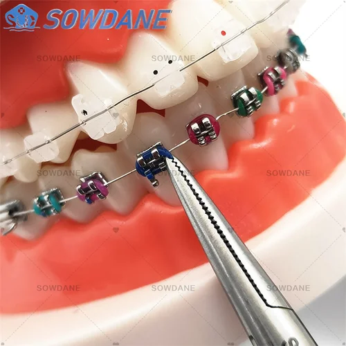 Imagen 2 del producto Mathieu de ortodoncia Dental, anillo de ligadura de colocación elástica, soporte de corbata, herramienta de laboratorio Dental de pico Extra fino de 14cm