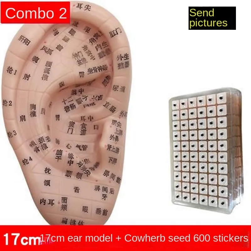 Thumbnail 2 - #17 Best Acupuncture Models to Buy In 2026