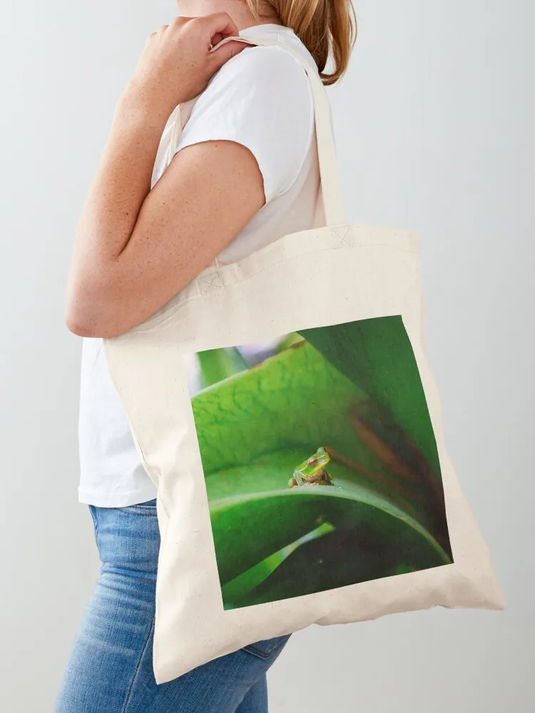 Friends in low places Tote Bag Big bag women shopping bags foldable shopper bags Canvas Tote Bag