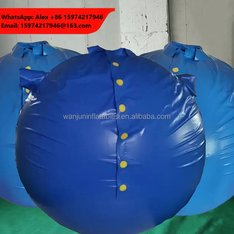 Wanjun Customize High Quality Soft Pvc Inflatable Blueberry Ball Suit For Party