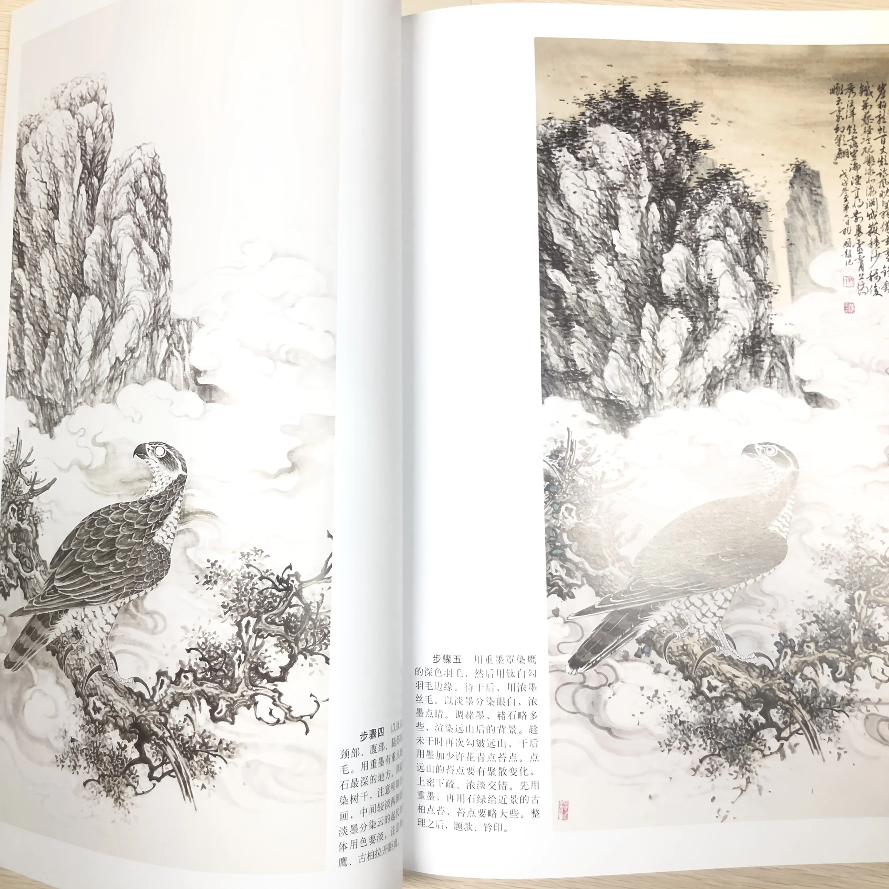 Техники рисования Raptor: Gongbi Eagle Eye & Talon Detailing Masterclass