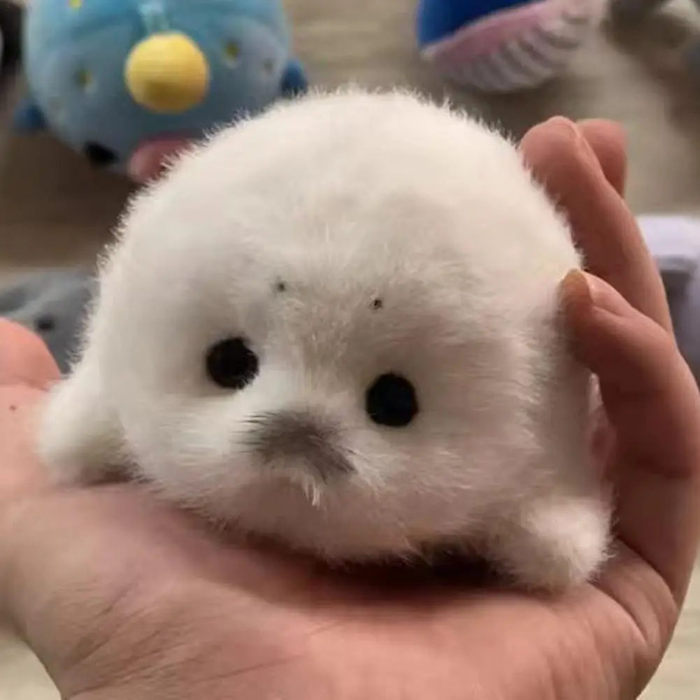 ベビーシールぬいぐるみ 12cm ソフトで抱き心地の良い白い海洋動物のぬいぐるみギフト 愛らしい黒い目と灰色の鼻が特徴の癒し系装飾品