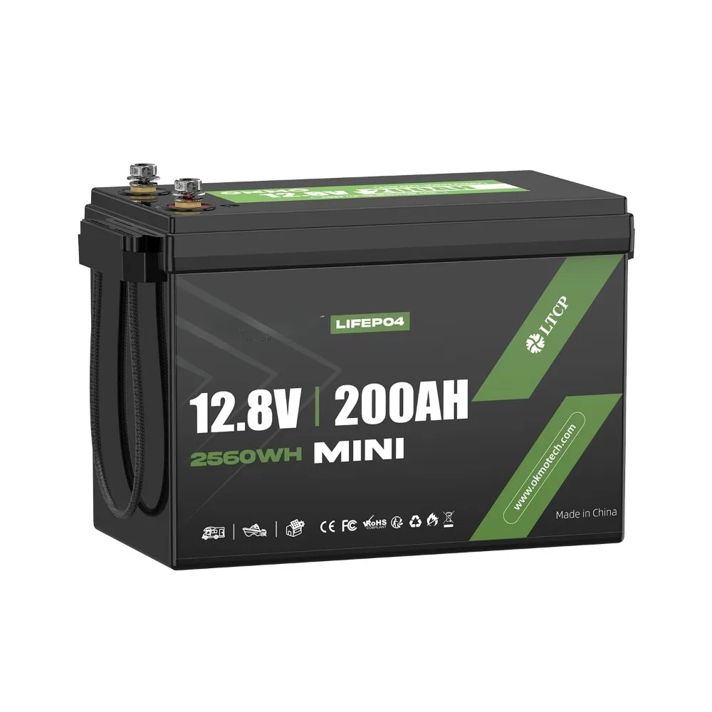 

200Ah LiFePO4 Battery 12V Updrade Mini Size, 10 Years 15000+ Deep Cycles, for RV, Van, Home Solar Energy Storage, Customized