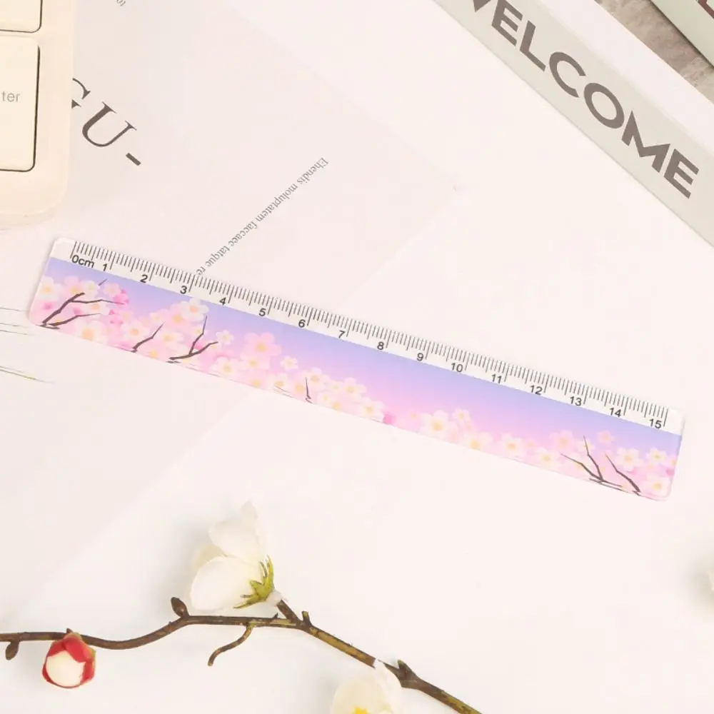 Cute Acrylic Straight Rulers School Office Supplies Planner Accessories Student Prize Drawing tools