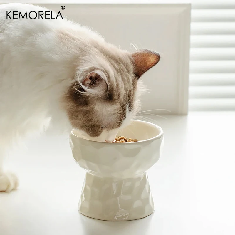 Cat Ceramic Bowl Gradient Pet Food Water Feeders Small Dogs Drinking Eating Supplies Raised Tilted Cats Puppy Feeding Supplies