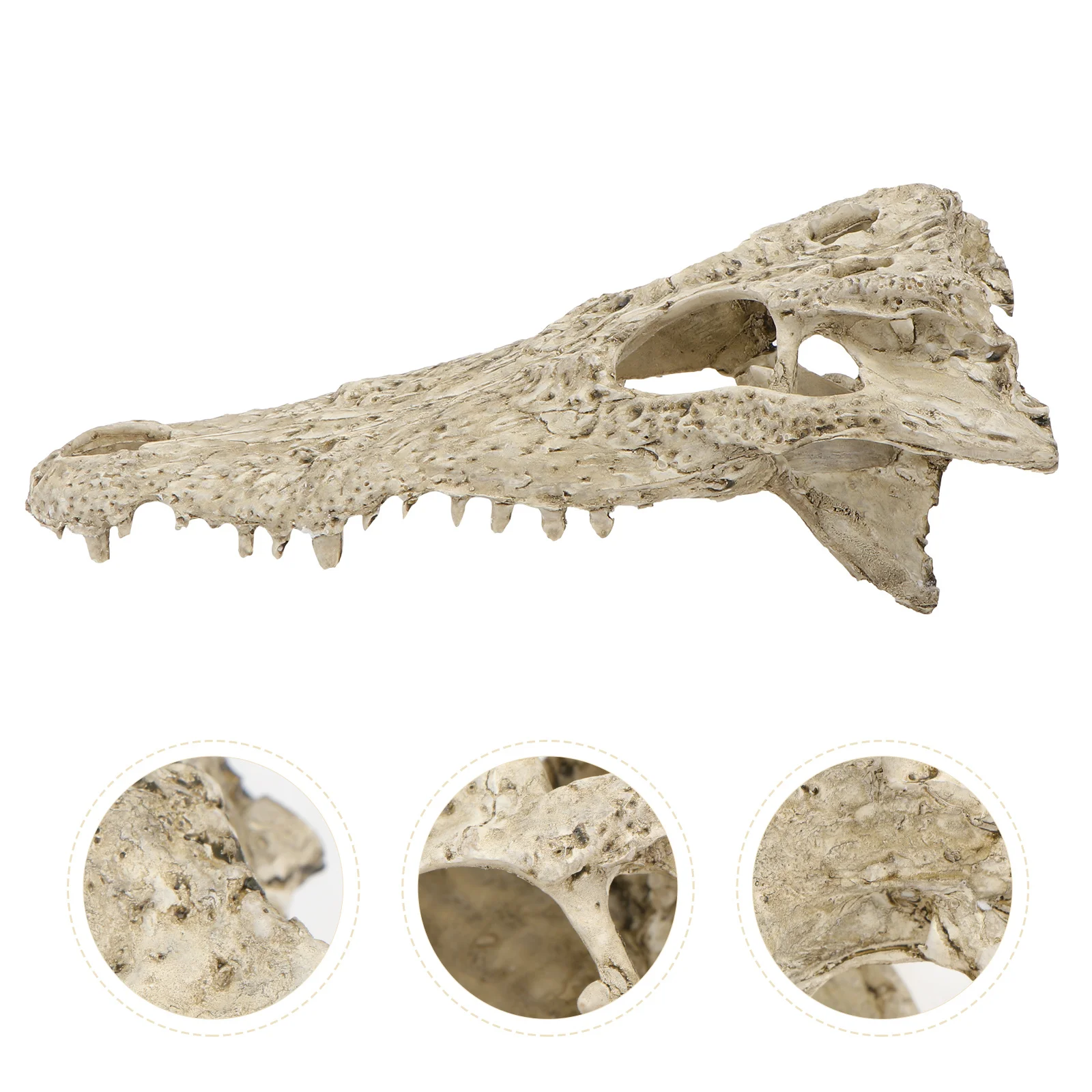 1 قطعة ديناصور الجمجمة الراتنج زخرفة المشهد الصغير الزينة جذابة DIY بها بنفسك خزان الأسماك حوض السمك الديكور محاكاة الجمجمة