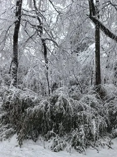 

Краска-карандаш для подкраски Citroen, перламутровый белый, серебристый, для моделей C1, C2, C3, C5, C4, специальное средство для ремонта царапин