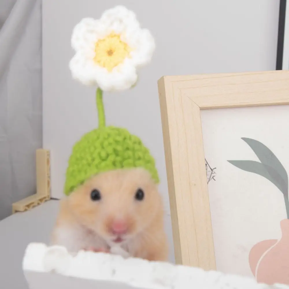 

Portable Cartoon Hamster Hat Handmade Soft Hamster Headwear Adjustable Pet Knitted Hat Photograph