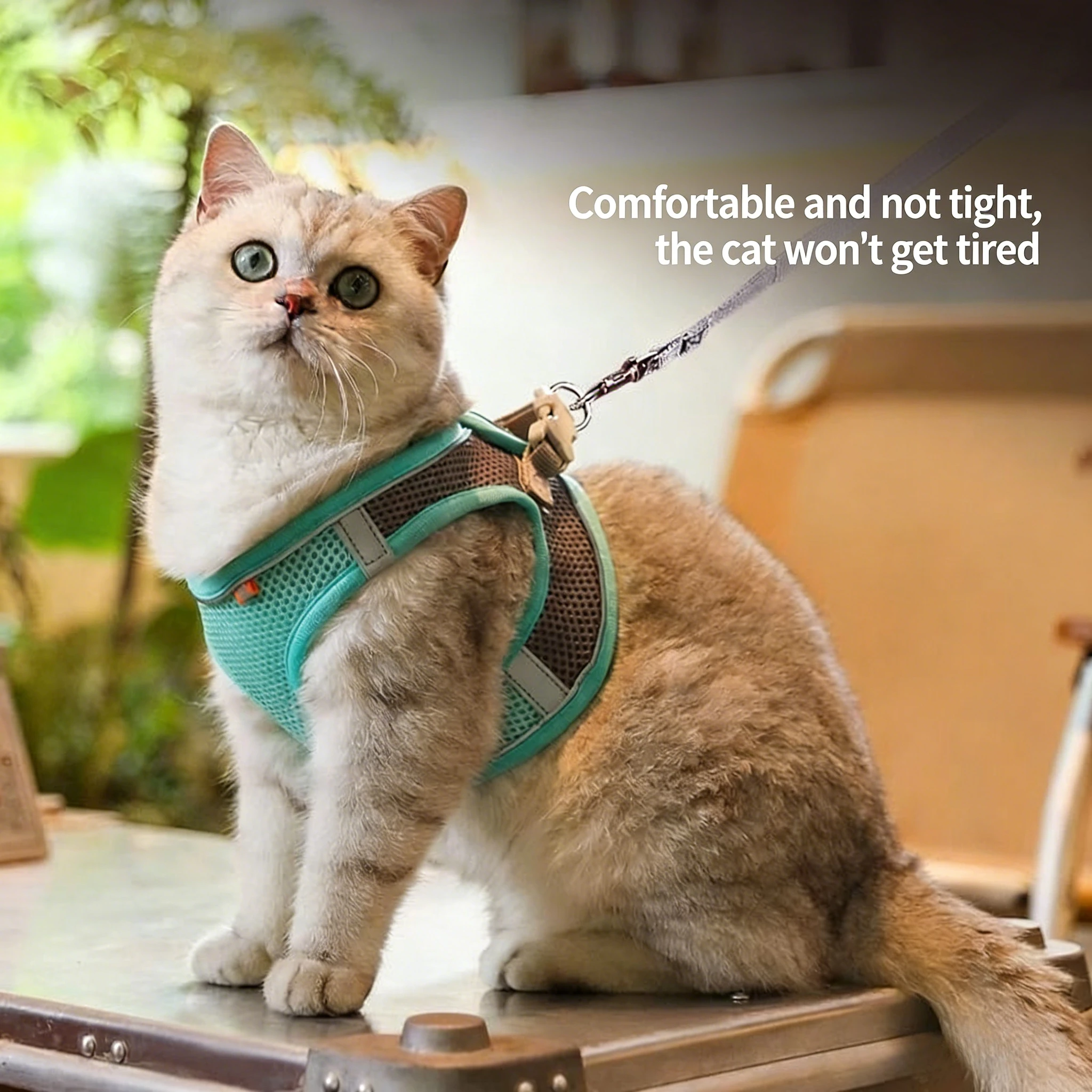 

Breathable and adjustable cat leash Special break-proof cat leash straps designed for going out