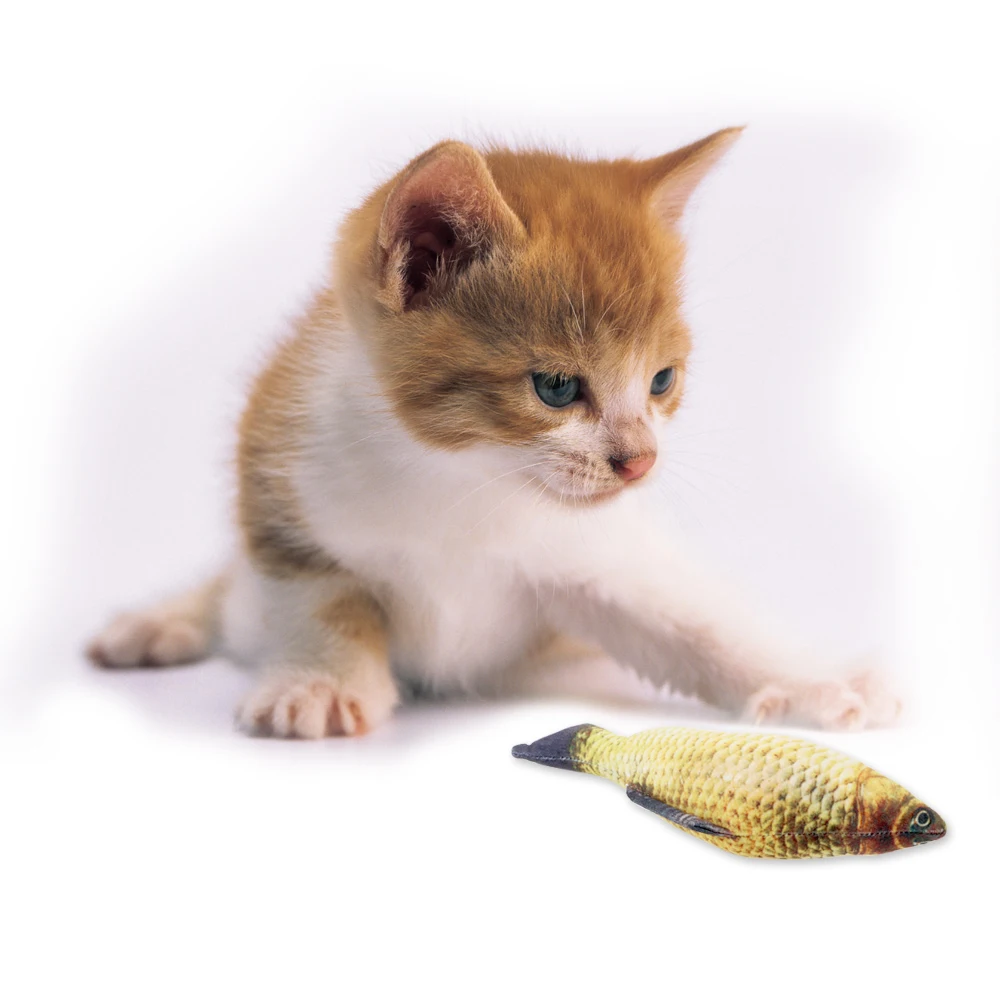 Cat Scratch Board For Pet Gifts 3D Fish Shape Pet Supplies Cute Simulation Fish Playing Toy Plush Cat Toy Catnip